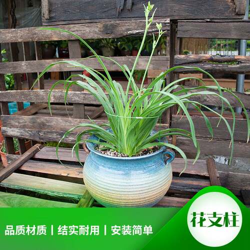 圣旺达简易包塑钢丝铁线圈 花支架支撑爬藤架配件 花盆叶支柱