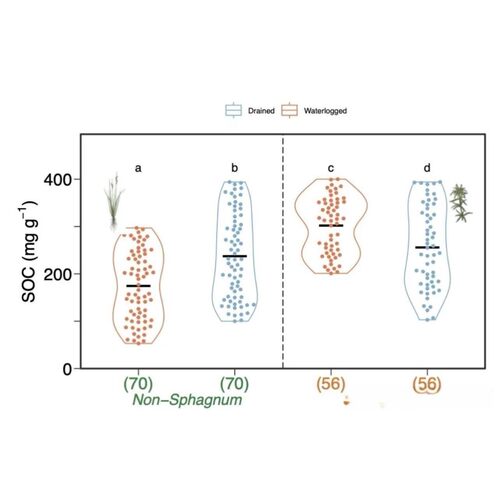 生信分析2-5分SCI服务 TCGA/GEO数据库挖掘 16s转录组基因组分析