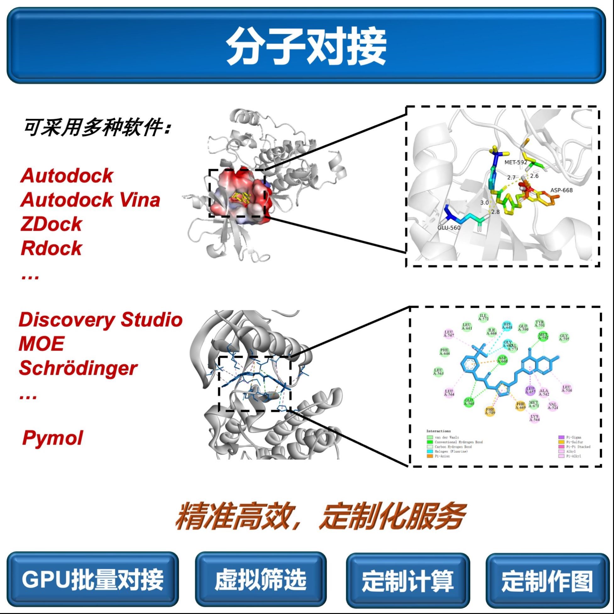 蛋白质3D结构预测/AlphaFold2&3服务/相互作用预测