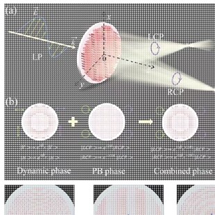 代做光学仿真 comsol fdtd rsoft cst lumerical optisystem 答疑