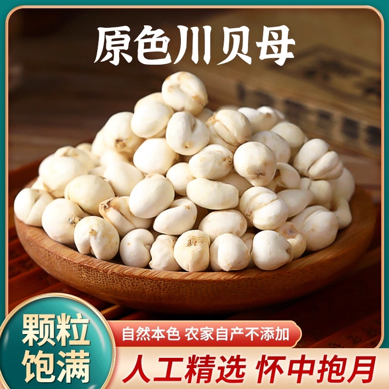 川贝原色川贝母粉正品天然干中药材无硫炖汤原味食用野生止咳粒