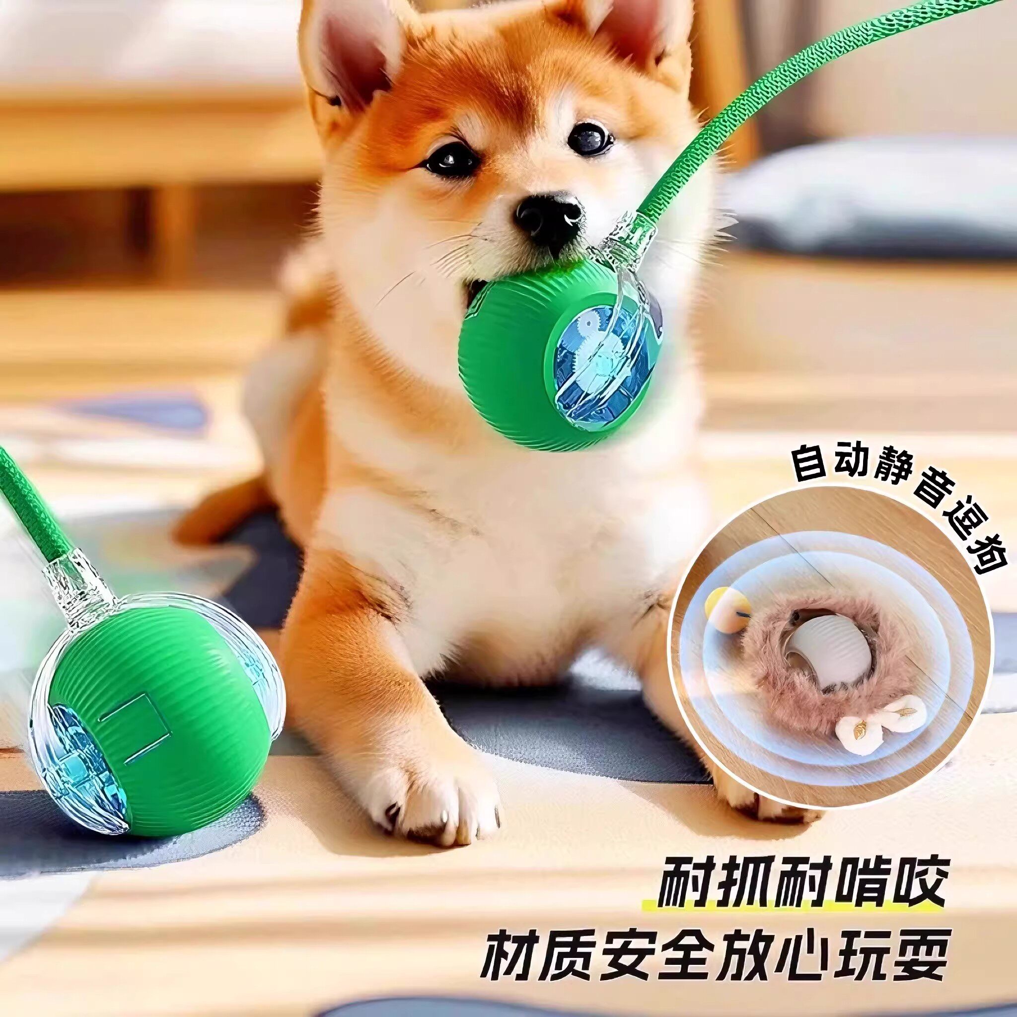 狗狗玩具自动遛狗球耐咬自嗨逗狗狗神器比熊小型犬宠物小狗突突球图片
