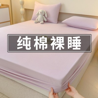 床笠纯棉100全棉a类母婴级2024新款四季通用床罩床垫保护罩全包套