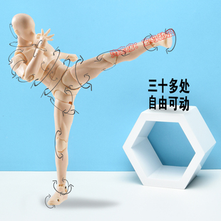 shf万代关节可动素体男女动漫人漫画人体模型手办美术绘画人偶
