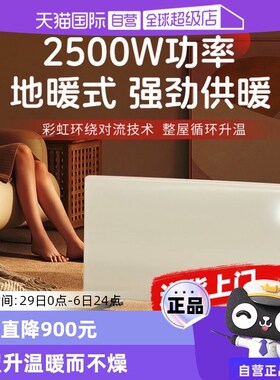 【自营】艾曼达取暖器家用节能电暖器暖风机客厅欧式快热炉HC07