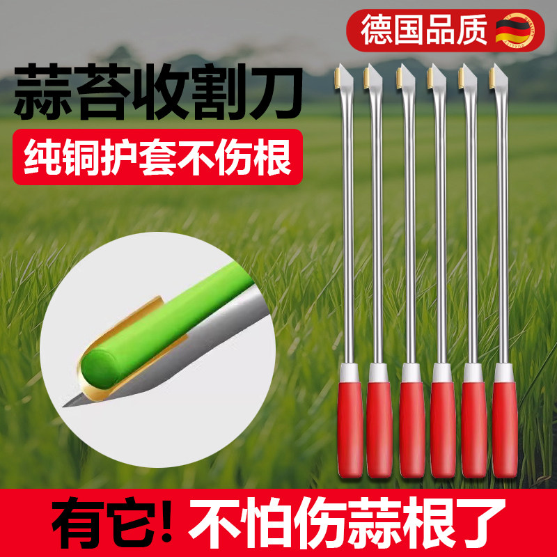 收蒜苔神器蒜薹收割刀拔蒜苔工具抽蒜苔器剥打提划摘蒜苗的小帮手