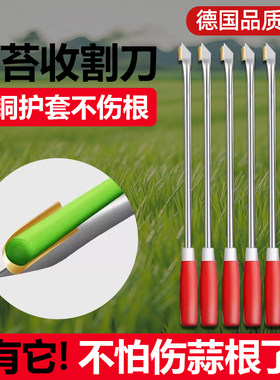 收蒜苔神器蒜薹收割刀拔蒜苔工具抽蒜苔器剥打提划摘蒜苗的小帮手