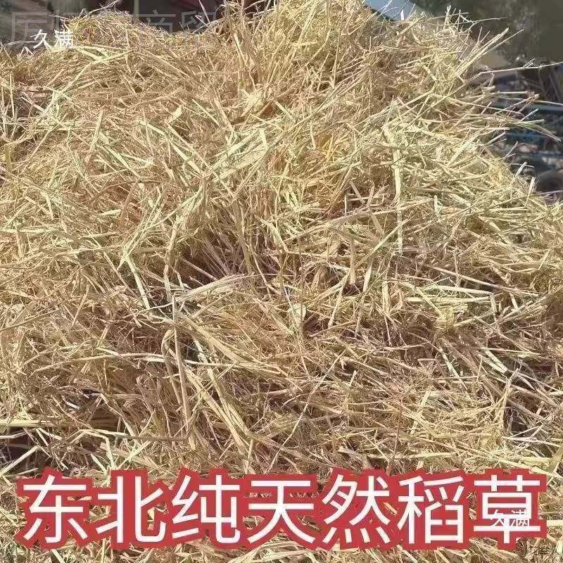 鸡草窝稻漆子猪保CXD暖宠物食用草草垛打草宠绳物干草垫兔窝,玩具/童车/益智/积木/模型,毛绒/玩偶/公仔/布艺类玩具,淘宝优惠券,粉丝福利购,淘宝优惠卷