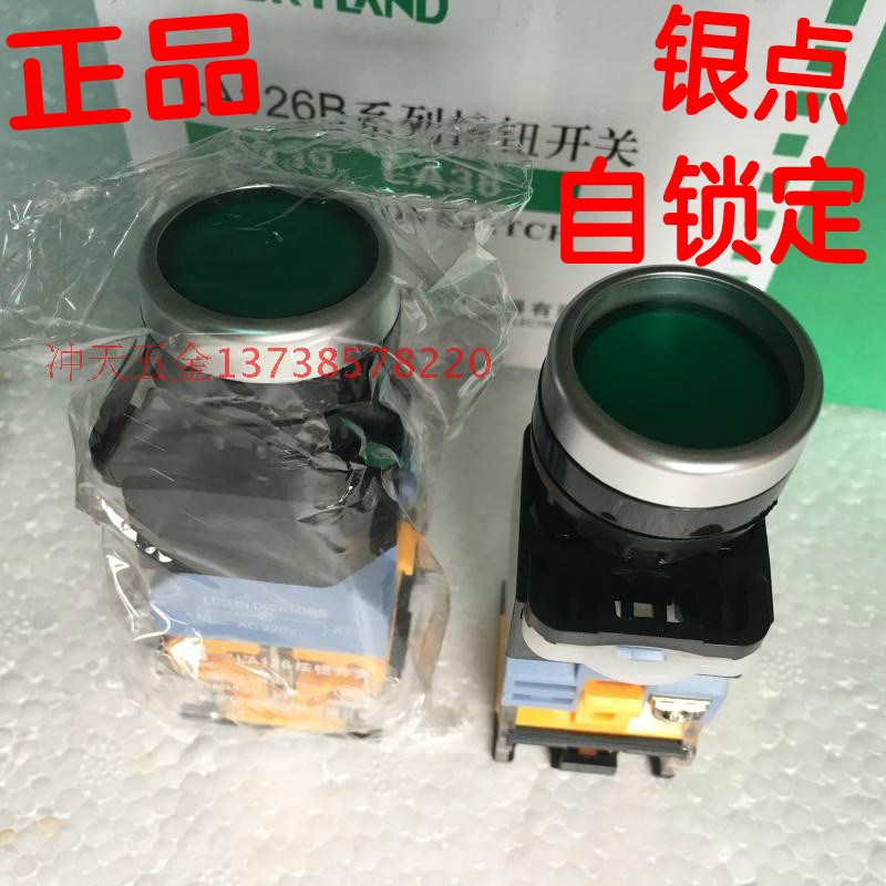 天洲LA38(LA126B)-11DT 带灯带自锁红绿按钮开关11DNZS 银点 220V