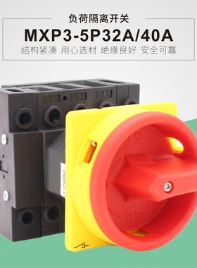 负荷隔离开关 平齐安装MXP35P32A/40A户外防水开关