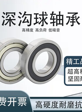 哈尔滨ZLZ轴承16001 16002 16003 16004 16005 16006 16007ZZ RS