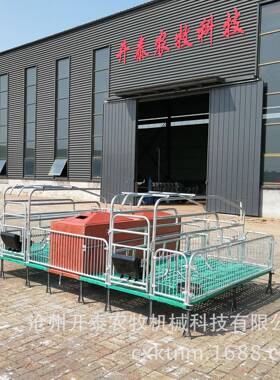 母猪产床厂家欧式复合板养殖BMC母猪分娩床现货双体连体母猪产床