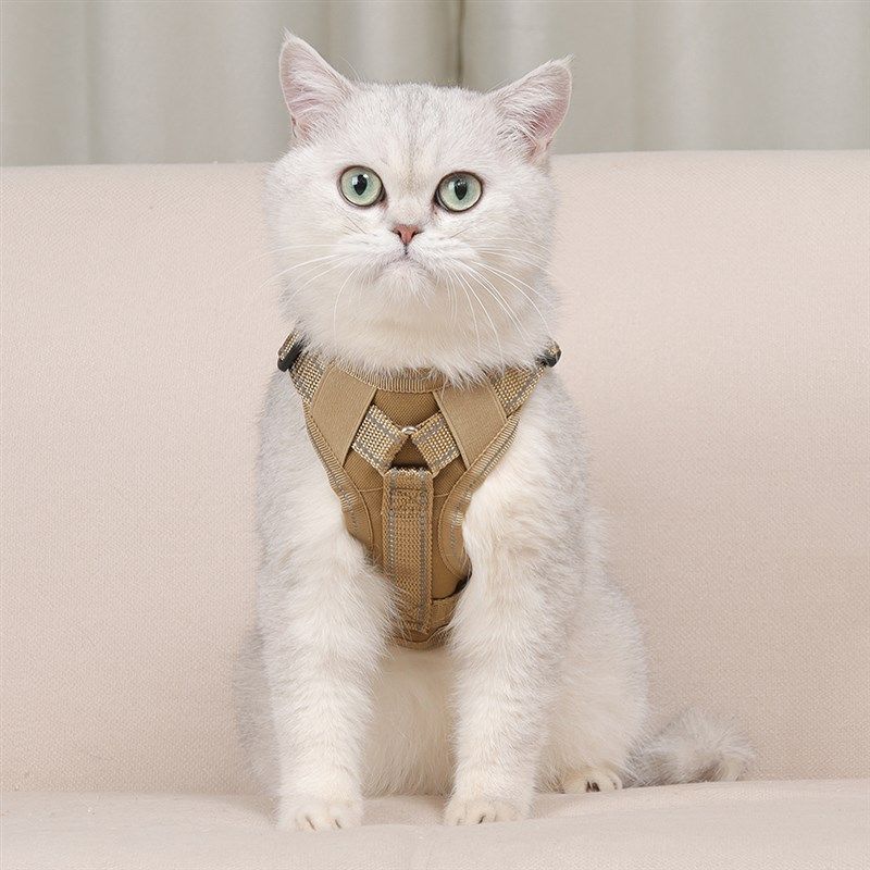 猫咪牵引绳猫外出专用防挣脱绳子宠物遛猫绳链子背心式手提胸背带,宠物/宠物食品及用品,猫牵引绳,淘宝优惠券,粉丝福利购,淘宝优惠卷