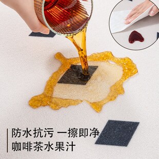 卧室地毯 地毯客厅轻奢高级感家用沙发茶几地垫防水免洗可擦24新款