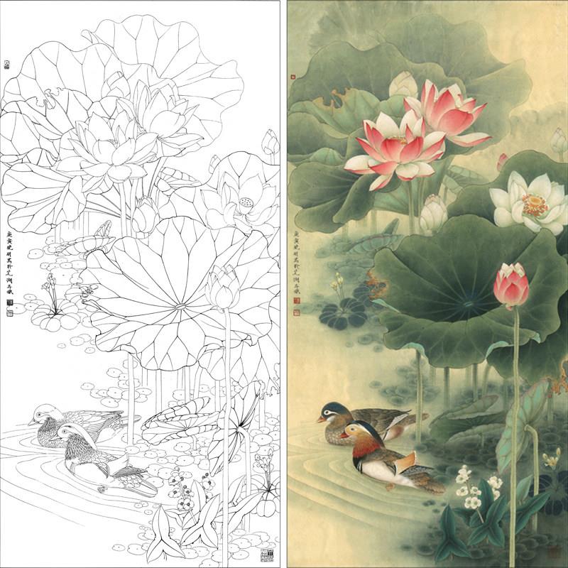 有步骤李晓明工笔画白描底稿荷花鸳鸯花鸟线稿带步骤用色说明L235
