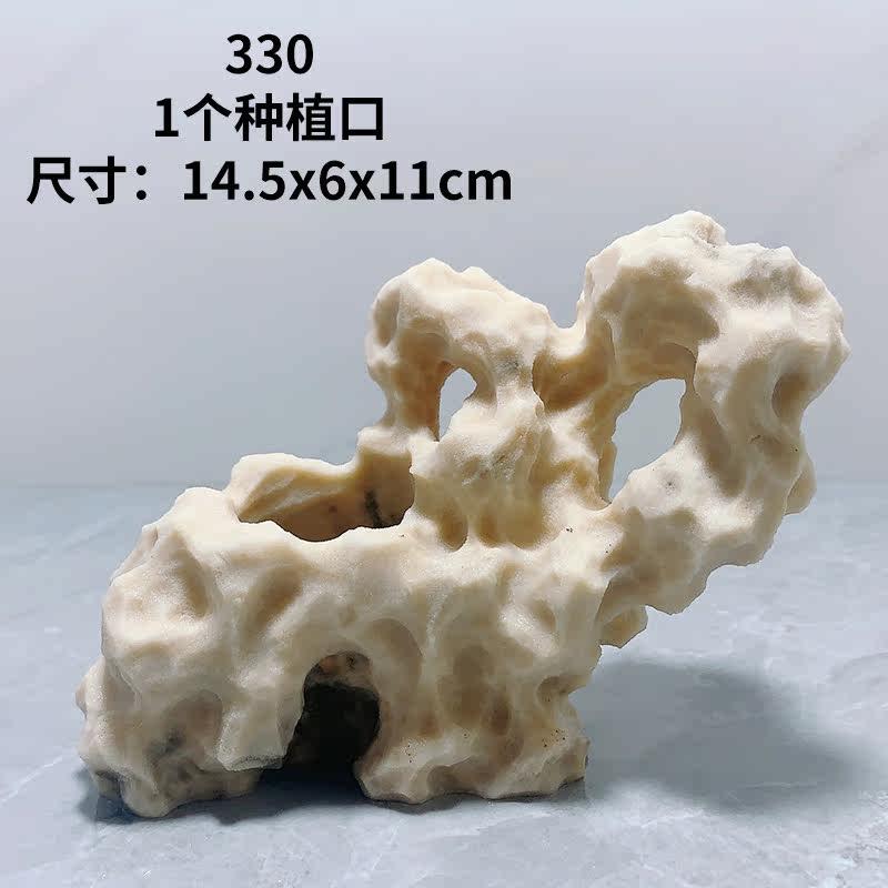 吴定石上水石吸水石菖蒲盆附石假山石捕虫堇盆景绿植观赏摆件石雕
