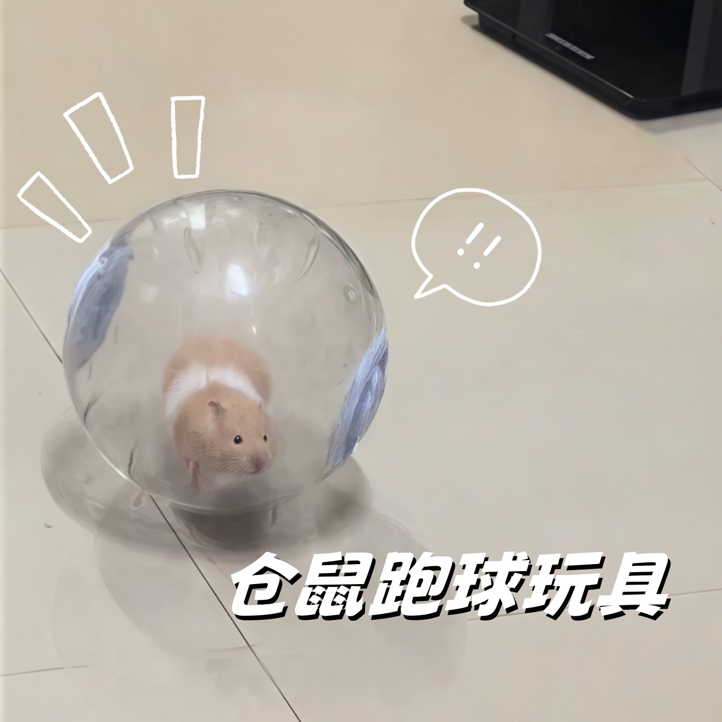 仓鼠跑球解闷玩具自嗨跑轮金丝熊生活用品太空跑步球滚球小体宠物