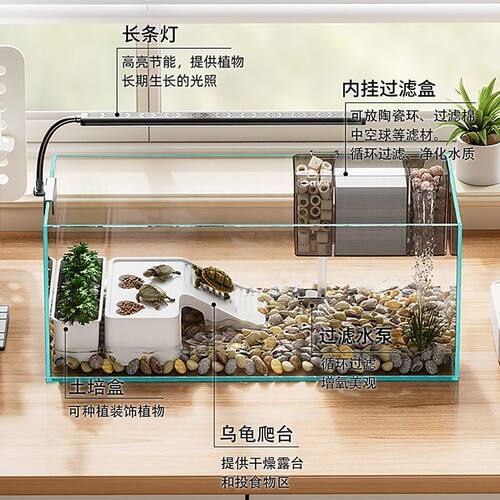 乌龟缸金晶超白玻璃2026新款爱心爬台造景饲养缸小型桌面养龟缸