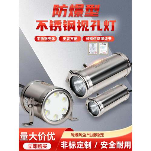 304不锈钢BAK52防爆视孔灯瓦防水观察投射灯BSD96反应釜视镜灯