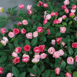 玫瑰藤花藤假花条空调暖气藤遮管道挡蔓PWR缠绕装 饰塑料植物