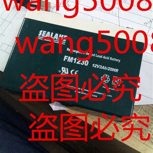 适用斯曼峰JX8200 FM1230电池 适用泰科 LP10电池 FM1230蓄电池