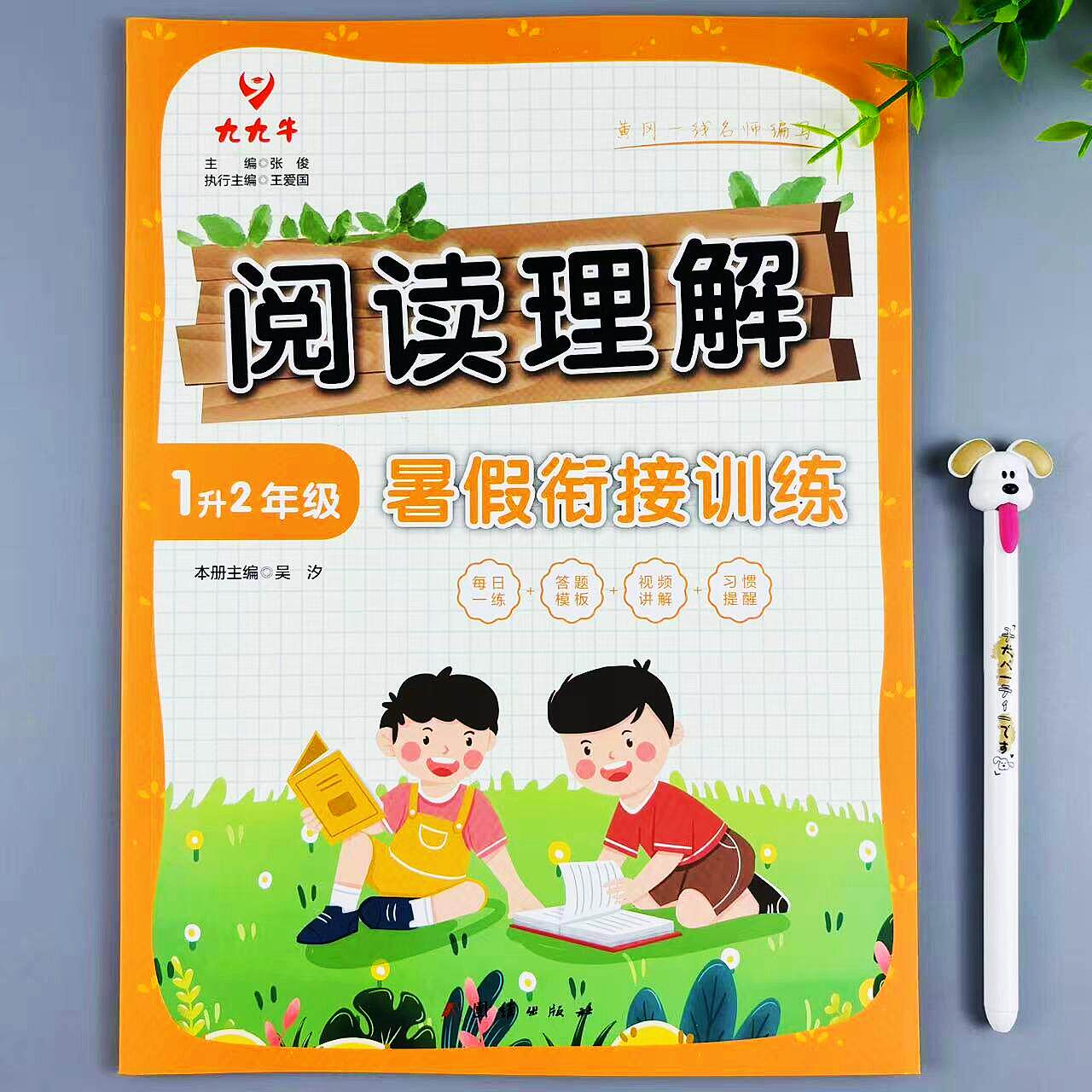 暑假阅读理解一升二年级暑假衔接训练复习预习阅读练习题暑假作业