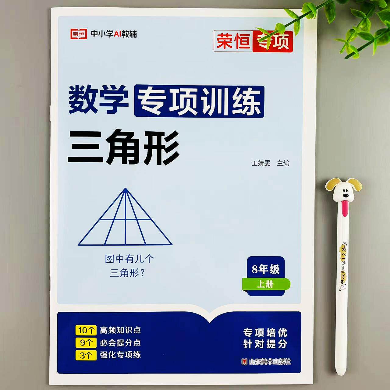 八年级数学三角形专项训练