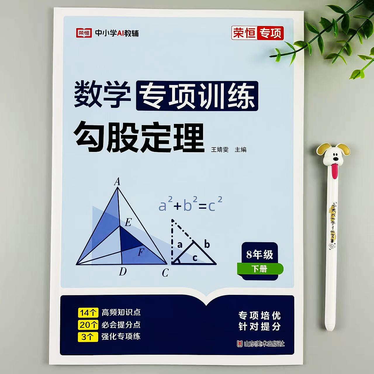 数学勾股定理专项训练