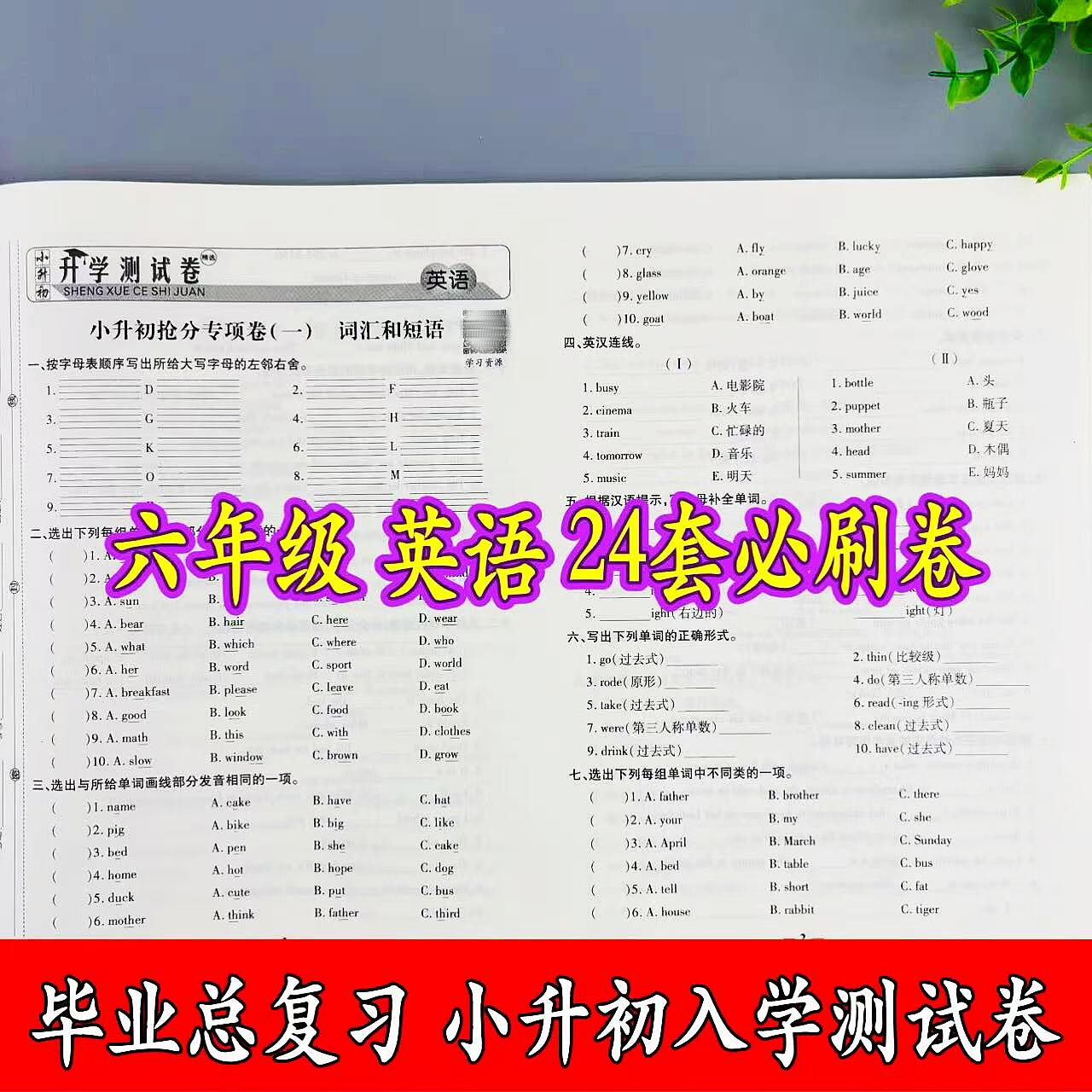 小升初入学测试卷英语24套