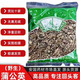 蒲公英 家种婆婆丁 野生蒲公英 蒲公英茶浦公英晒干货蒲公英根茶