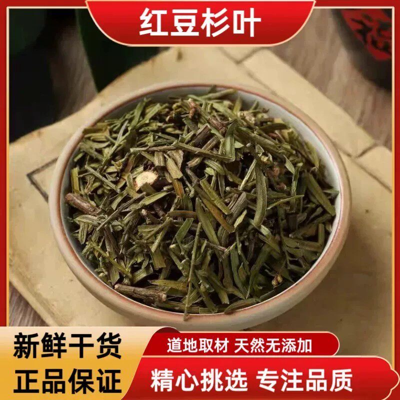 红豆杉叶中药材南方红豆杉树叶茶红豆杉叶子高含量紫杉醇泡茶药用