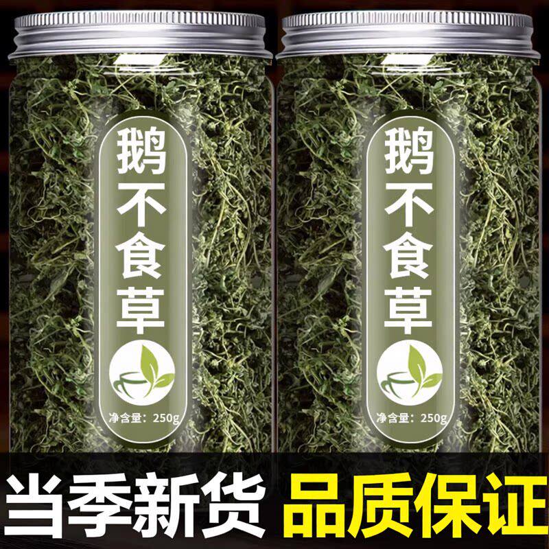 鹅不食草中药材正宗正品鹅不吃草野生干草粉末鹅不食草粉饿不食草