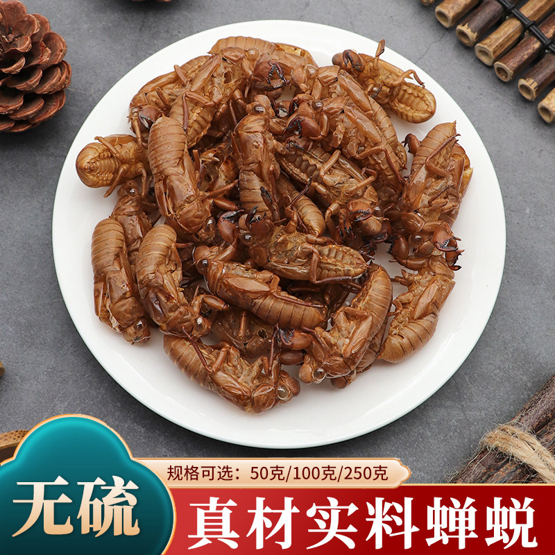 蝉蜕中药材250g克包邮知了皮蝉蜕粉衣壳虫蜕退猴壳金蝉衣知了无硫