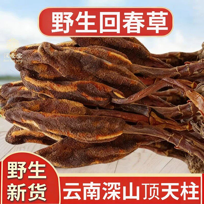 正宗云南野生回春草新货中药材500g新鲜干货顶天柱不老草男性泡酒