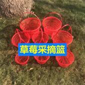 莱蓝篮子塑料一次性水果葡萄小筐子草莓框商用桑甚采摘两斤 框子