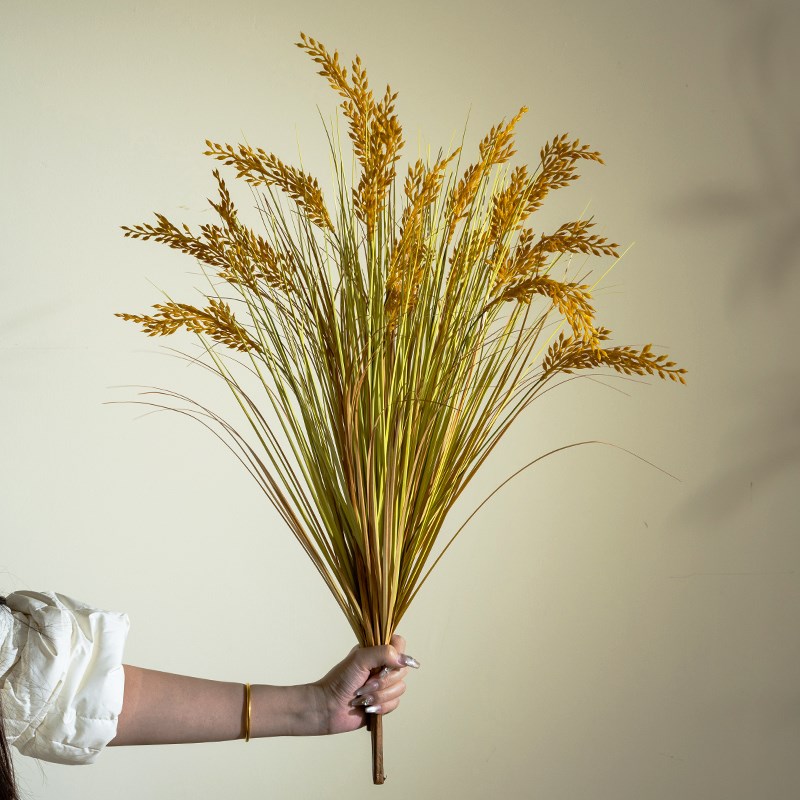 2025新款稻穗干花花束真水稻麦穗田园装饰五谷丰登拍摄道具稻谷花