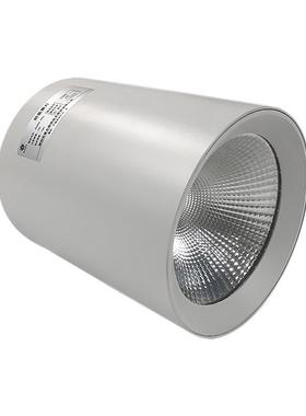 深照紫光GS4585明装筒灯