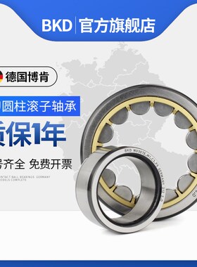 德国BKD进口轴承NU1004/1005/1006/1007/1010/1011/1018/EM/C3 P4
