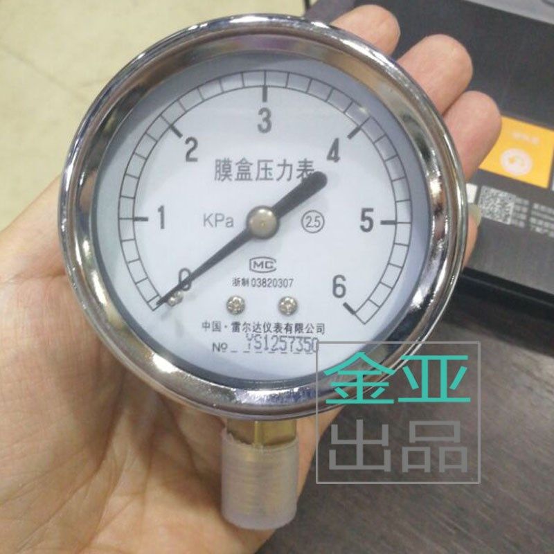雷尔达仪表 膜盒压力表 YE-60 全规格 KPa (141.5)[实体店现货]