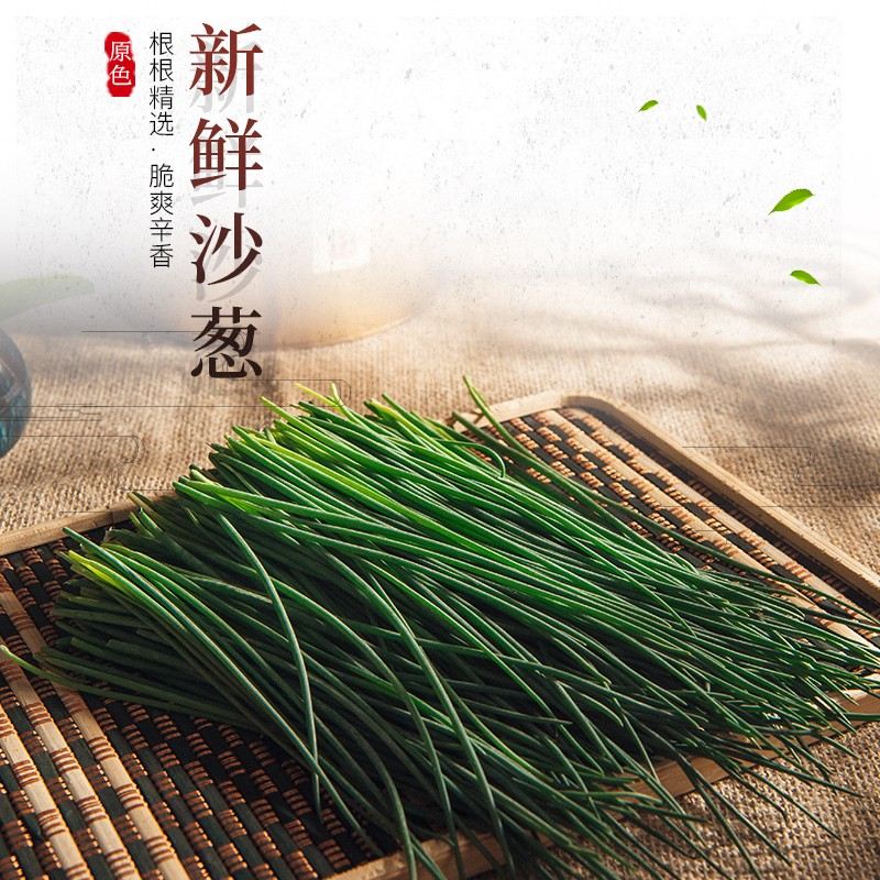 顺丰快递人工挑选沙葱新鲜甘肃民勤特产现摘沙葱新鲜家常菜