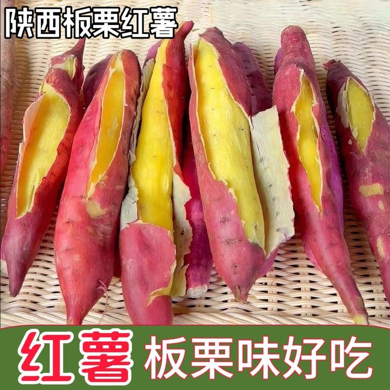 粉面香甜陕西临潼板栗红薯新鲜现挖番薯无筋无丝粗粮彩箱礼盒