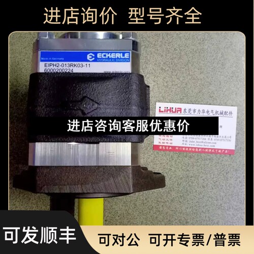 ECKERLE高压泵EIPH2-004RK03-11 005RK03 006RK03 008RK03议价