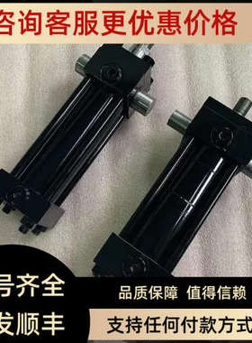 议价韩0国 JS 高压柱形油缸HO2轴10-B-SD-100-200LGLST 双缸HO21-