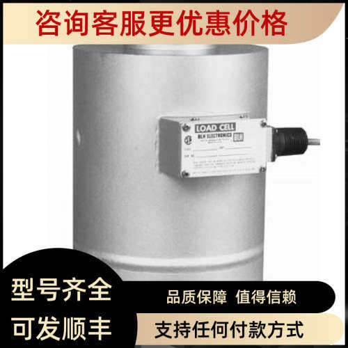 议价BLH Nobel传感器C2G1-H 、C2P1、T2P1 、U3G1、U3G2 T3P1T3P2