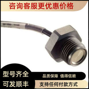 00000F 007BG液位传感器 LM31 议价MEAS