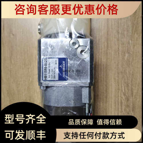 议价HOERBIGER HB11555-002B 115Bar 油泵