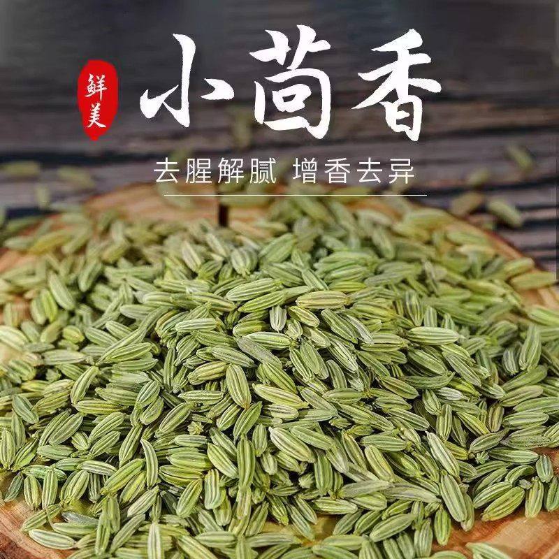 甘肃新货小茴香粒种子籽家