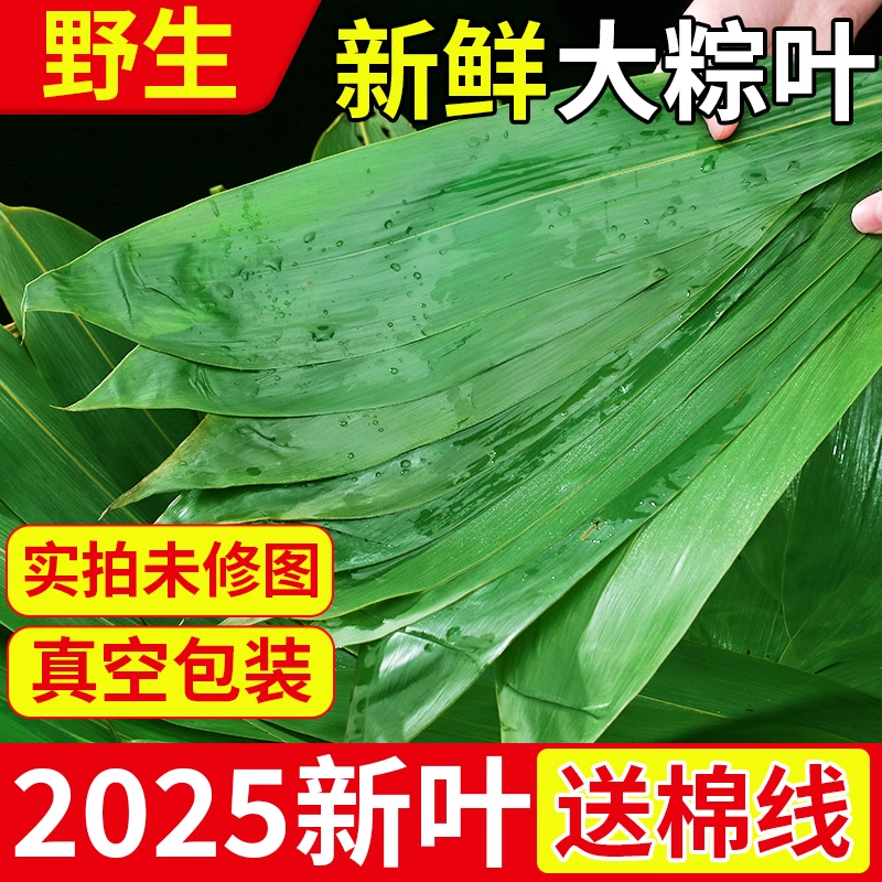 粽子叶新鲜棕叶大号100片包粽子食材糯米红豆端午节家用商用批发