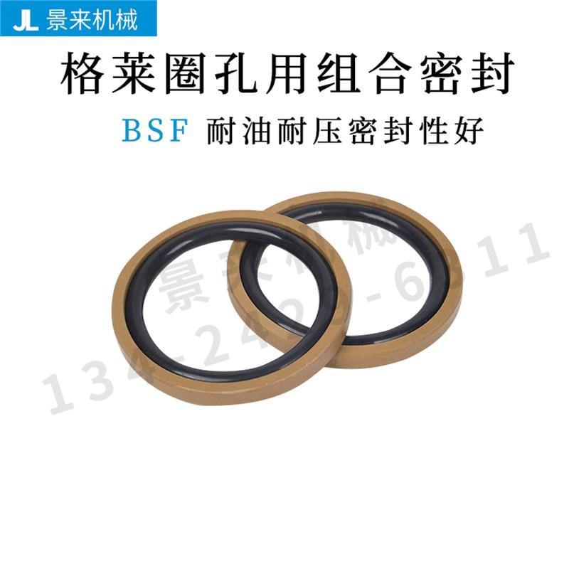 BSF60 63 65 70 75 80 85 90 95 100 105 110 115 120孔用格莱圈