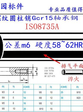 20/25系列ISO8735A内螺纹圆柱销精度公差m6轴承钢淬火HRC58~62